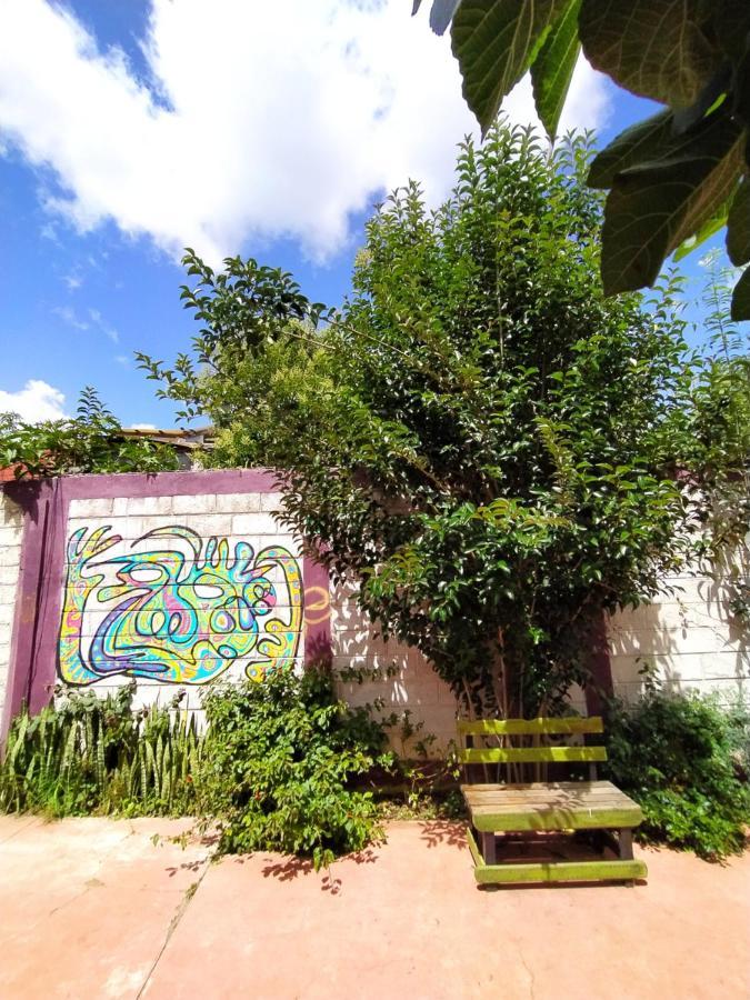 Lipi House Hostel San Cristóbal de Las Casas Dış mekan fotoğraf