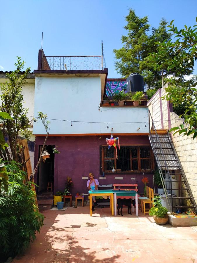 Lipi House Hostel San Cristóbal de Las Casas Dış mekan fotoğraf