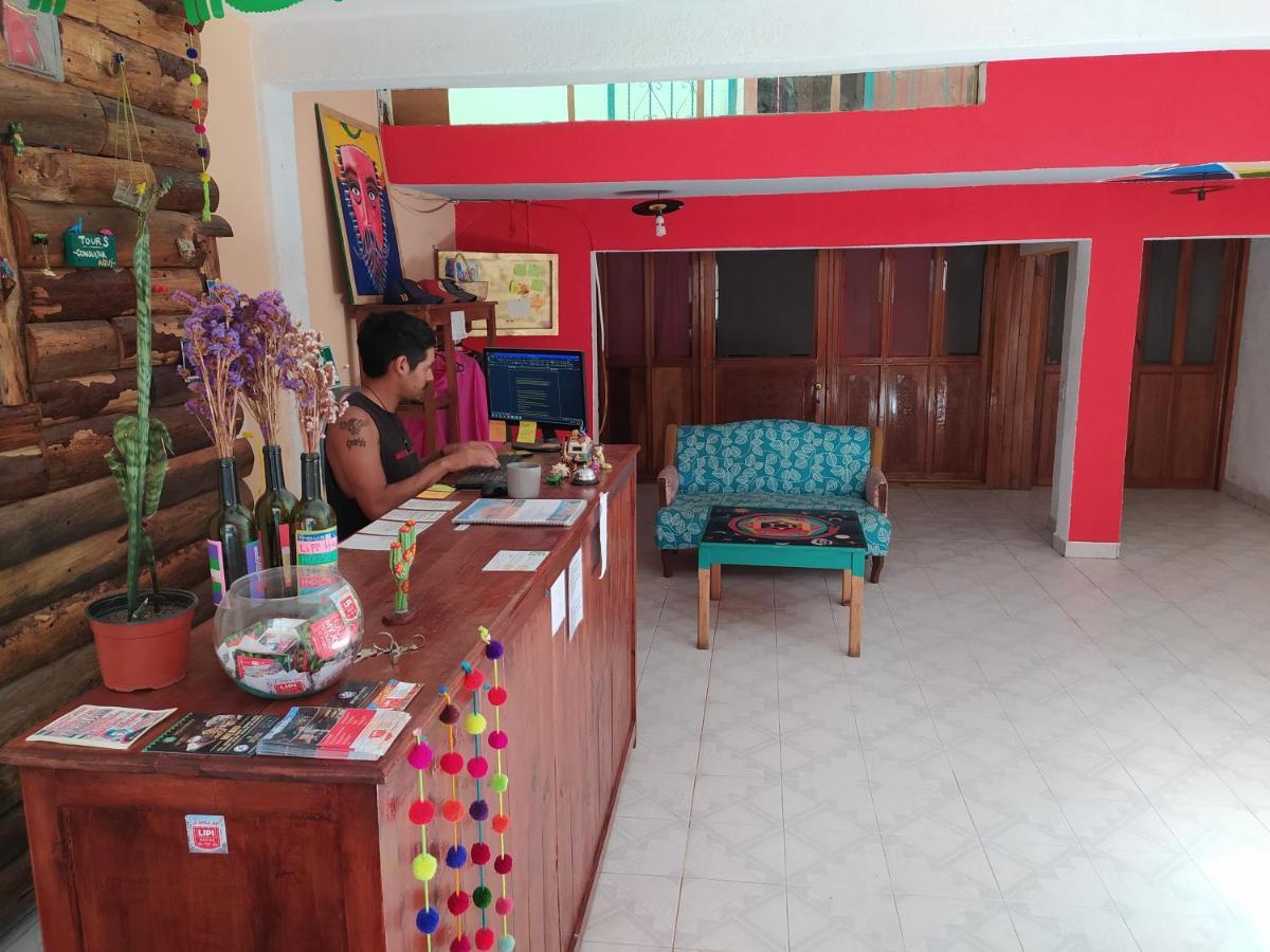 Lipi House Hostel San Cristóbal de Las Casas Dış mekan fotoğraf