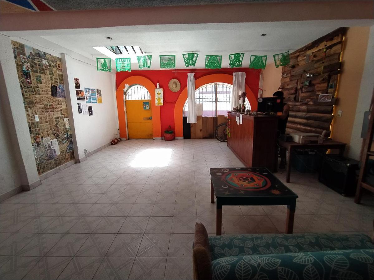 Lipi House Hostel San Cristóbal de Las Casas Dış mekan fotoğraf