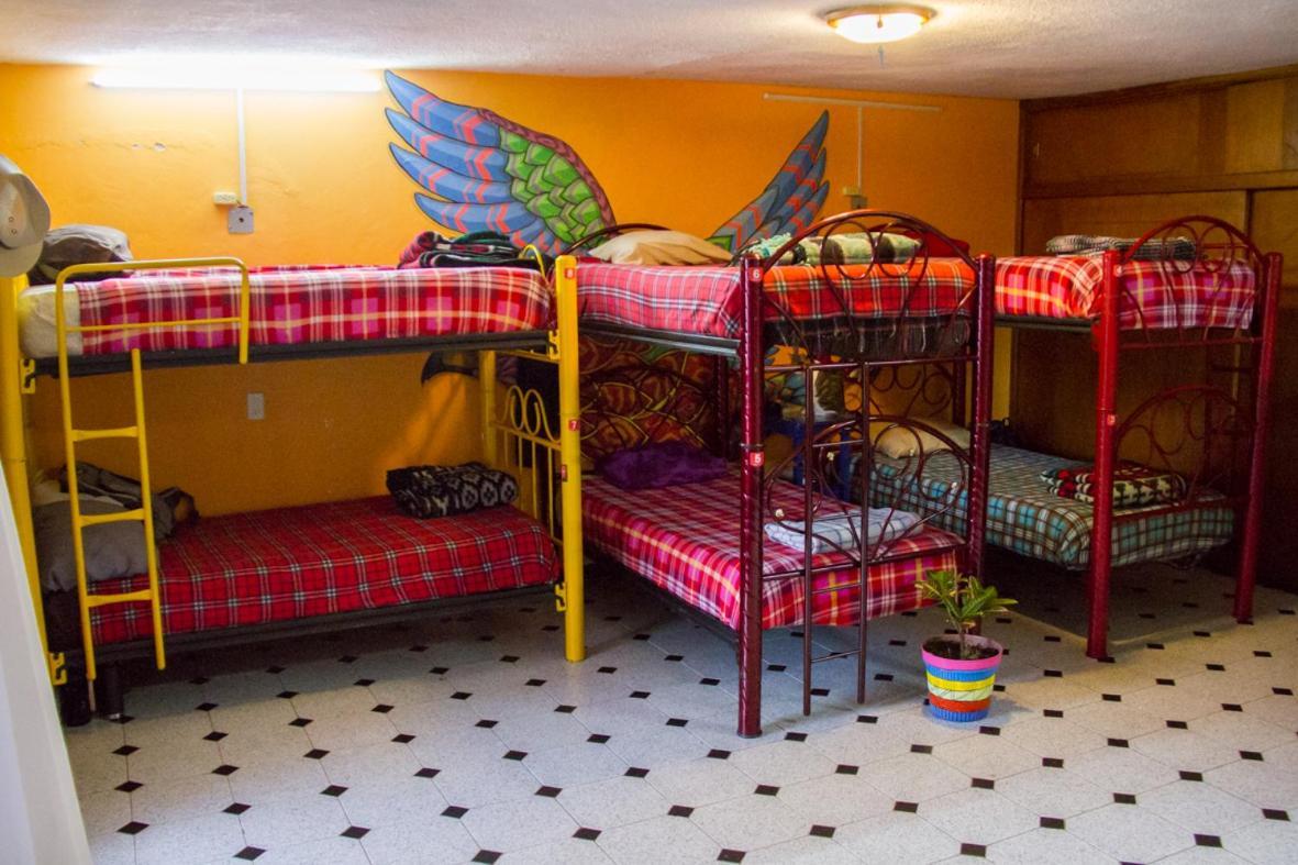 Lipi House Hostel San Cristóbal de Las Casas Dış mekan fotoğraf