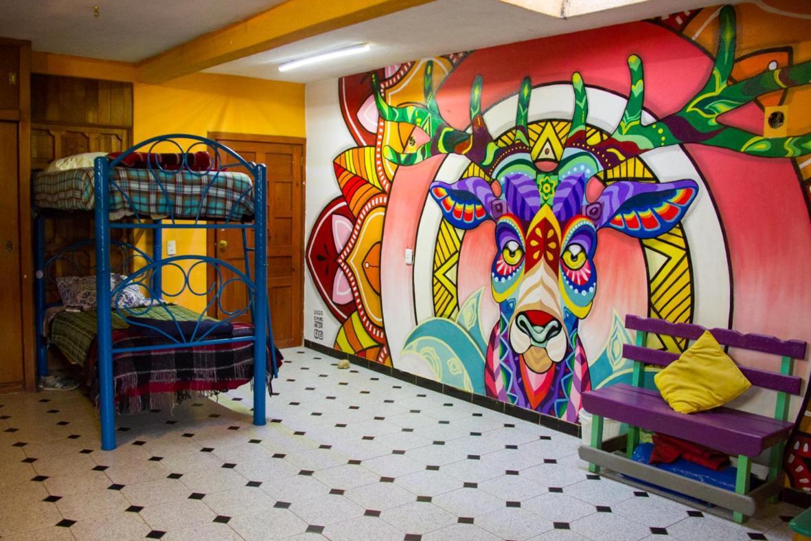Lipi House Hostel San Cristóbal de Las Casas Dış mekan fotoğraf