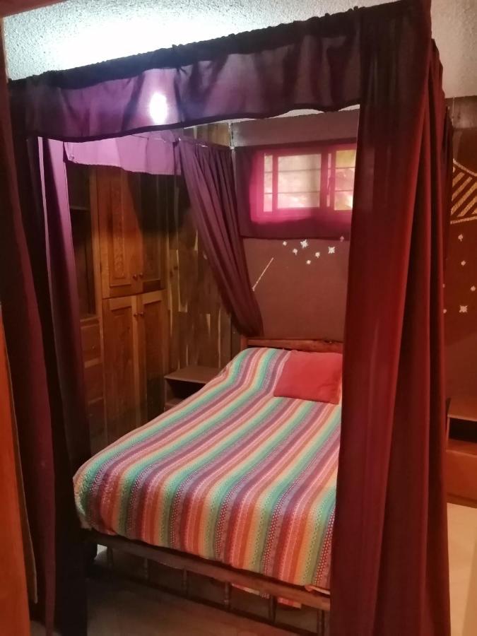 Lipi House Hostel San Cristóbal de Las Casas Dış mekan fotoğraf