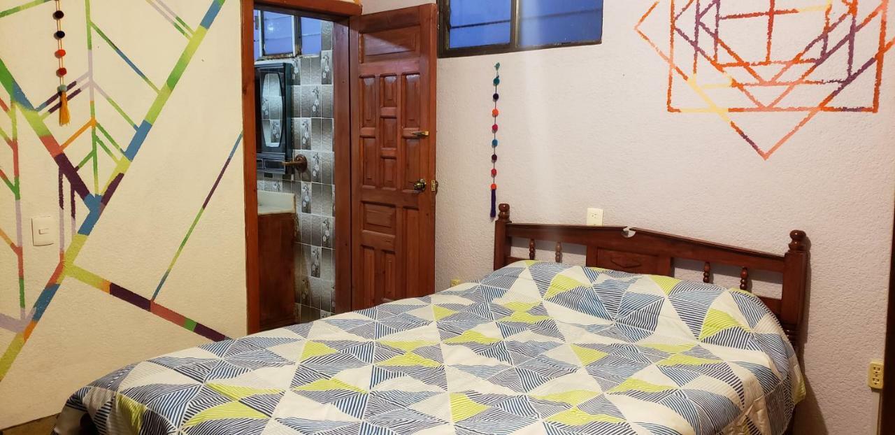 Lipi House Hostel San Cristóbal de Las Casas Dış mekan fotoğraf